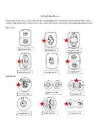 Maybe you would like to learn more about one of these? Cellular Processes Test Review Answer Key