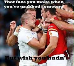 Bbc wales regularly broadcasts gently mocking tv adverts in the prelude to the six nations match between england and wales. The Best Memes And Tweets From The Rugby World Cup So Far Wales Online