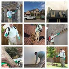 Description:safe pro pest control has a combined 24 plus years experience, fully licensed trough the texas department of agriculture. Safe Pro Pest Control 33 Photos 74 Reviews Pest Control 122 Rose Ln Frisco Tx Phone Number