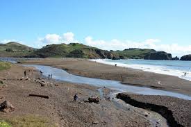 Visit bringfido for an overview of the beach, along with pictures, directions, and reviews from dog owners who've been there. Family Adventure In The Marin Headlands Marin Mommies