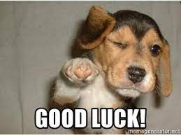 Saved by animal on planet. Good Luck Funny Winking Dog Meme Generator