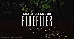 Lord murugan statue yakınındaki oteller. Kuala Selangor Fireflies Spectacular Night Show 2021 Don T Miss Out