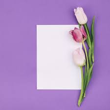 Check out our blank white paper selection for the very best in unique or custom, handmade pieces from our shops. Tulips With Blank White Paper On Purple Backdrop Nohat Free For Designer