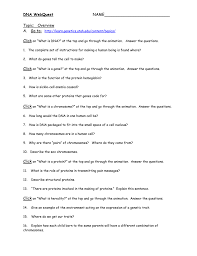 Mutations, for the most part, are harmless except when they lead to cell death or tumor formation. Dna Webquest