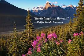 Famous Quotes That Will Inspire You To Spend More Time Among Nature Cottage Life Wildlife Quotes Nature Quotes Inspirational Nature Quotes