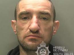 Day after day shoplifter carried out raids stealing everything from cheese  to underpants