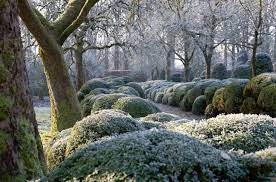 Check spelling or type a new query. Expert Advice 7 Tips To Put Your Garden To Bed For The Winter Gardenista