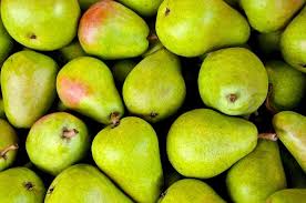 Fun facts about asian pears: Can Parrots Eat Pears Parrot Website