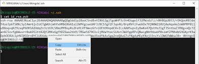 A few seconds after typing the ssh command, i am getting the following message: Generate Ssh Keys