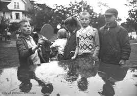 They should have immediate care available for sick pets. Banfield Park Victoria B C City Of Victoria Archives Online Search