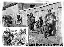 sulfan manju free manchuria 自由滿洲 征服满洲的尼堪繁殖小脚部队 组团闯关东蹂躏大满洲 the past past natural landmarks