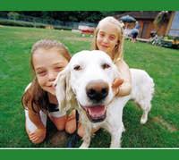 While this can be true in many instances, there are a few. Major Dog Day Care Business For Sale In Memphis Tennessee Businesses For Sale In Memphis Tn