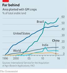 Chinas Public Worries Pointlessly About Gm Food Movie