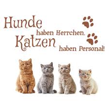 Dieses eheähnliche verhältnis wirft natürlich fragen auf: Spruch Wandtattoo Hunde Herrchen Katzen Personal Wandaufkleber Wandsticker 4 Ebay