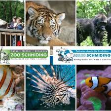 There are at least 6 hotels for you to stay at. Zoo Aqua Schmiding Eintritt Kind Gutschein24 At