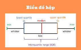 Biểu đồ hộp (Box Plot) là gì? Đặc trưng và ví dụ