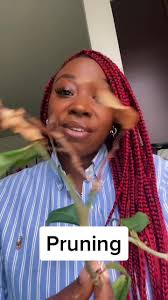 You’ve got to let it go to grow 🌱 #learnontiktok #tiktokpartner  #michaiahsheretohelp #realtalkthough #blacktherapist