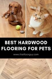 Woodfloors Woodflooring Floors Hardwoodflooring Pets In 2020
