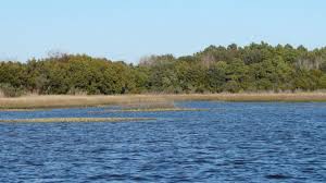 Fishing The Tide Carolina Sportsman