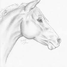 10 Exquisite Learn To Draw Animals Ideas Horse Head Drawing Horse Art Horse Sketch