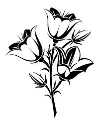 Pin On Drawing Filigree