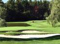 123rd WPGA Open Championship