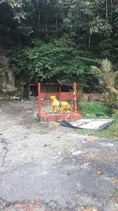 Jalan karak lama | jangan berani lalu sorang sorang! Update Sri Agora Sanggili Karuppar Karuppar Vamsam Facebook