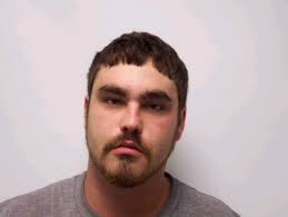 Goins Enters Plea To Fires In Bradley And McMinn