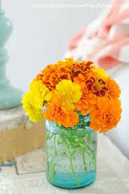 Pin On Flowers