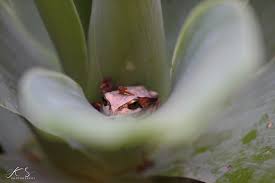 Kari Sherman (@ksphotographysh) • Instagram photos and videos