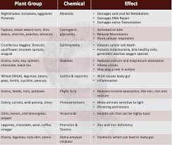 Plant Antinutrients Are Abound Here S A Succint Reddit In 2020 Dna Repair Meatporn Nutrition Articles