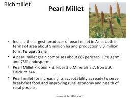 Rich Millet Richmillet On Pinterest