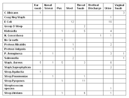 mejfm antibiotic sensitivity profile of common bacterial