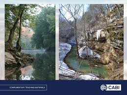 saving bats at mammoth cave ppt download