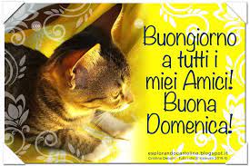 Cdb Cartoline Per Tutti I Gusti Cartolina Per Gli Amanti Dei Gatti Buongiorno A T Amanti Dei Gatti Auguri Di Buon Compleanno Buon Compleanno