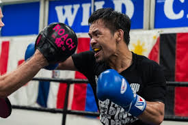 We did not find results for: Manny Pacquiao Handler Beating Spence Would Be Greatest Win In Welterweight History Boxing News