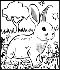 Register to download free printable. Rabbit Colouring Sheet Teaching Resources