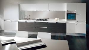 See more ideas about kitchen design, kitchen pictures, white kitchen. 30 Black And White Kitchen Design Ideas Digsdigs
