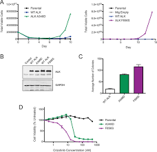 Therapeutically Targetable Alk Mutations In Leukemia Acute Lymphoblastic Leukemia Mutation Acute Myeloid Leukemia