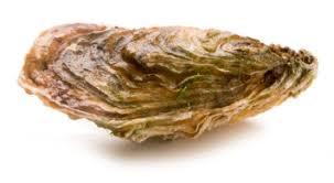 Nosso Produto Perlas Marinhas
