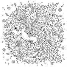 Loro Aves Tropicales Ilustracion De Vector Libro Para Colorear Para Los Ninos Mayores Y Adultos Ilustracion Vectorial Libros Para Colorear Aves Tropicales
