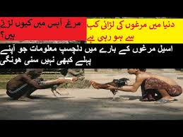 Even so, this also adjusts to the specifications of the camera and the amount of resolution. Bokeh Full Sensor Twitter Youtube