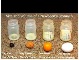 Newborn Tummy Size Chart Bedowntowndaytona Com
