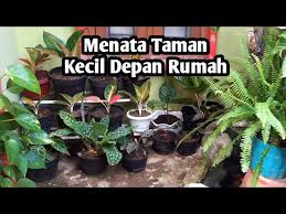 We did not find results for: Taman Depan Rumah Minimalis Lahan Sempit Sederhana Tapi Tetap Indah Youtube