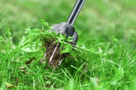 Our lawn care business strategy guidebook teaches you how to bid lawn mowing contracts such as fast food restaurants. 8 Spring Tasks To Foster A Great Lawn