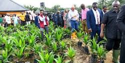 Agriculture: A'Ibom Assures On Enhanced Productivity, Takes Over ...