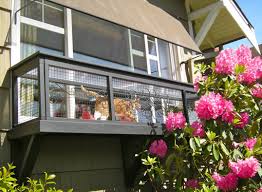 Check spelling or type a new query. All About Catios Cat Enclosures Catio Spaces