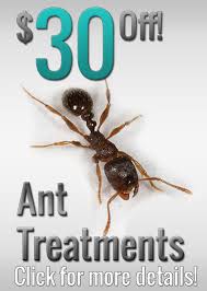 Find company research, competitor information, contact details & financial data for home paramount pest control companies, inc. Paramount Exterminatingnj Pest Control Exterminating