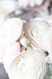 Maybe you would like to learn more about one of these? 5 Tips To Keep Your Cut Flowers Fresh Bikinis Passports