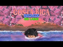 Bankrol Hayden Costa Rica Feat The Kid Laroi Remix Lyric Video Youtube In 2020 Hayden Remix Costa Rica